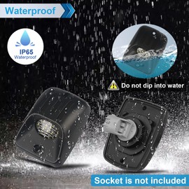 MbuyDIY - Lámpara LED para matrícula con tubo de neón OLED rojo compatible con Tacoma 1995-2004 Pickup Truck carcasa negra 6000K blanco, paquete de 2