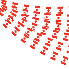 Canada Flags Canadian Small Mini String Banner Flags 66 Feet 60 Flags Miniature Canada Flags Banners For Grand Opening, Olympics Festival,Grand Opening Sports Celebration Decorations