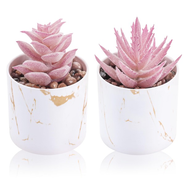 Der Rose Set of 2 Succulents Plants Artificial Mini Fake Succulents Plants for Home Office Desk Accessories for Women