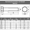 M6 x 100 mm (Pack of 10) Hexagonal Screws with