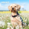 Hikiko Martingale Dog Collars Reflective Nylon Dog Collar with Quick