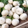 White Detroit Beet Seeds - Heirloom