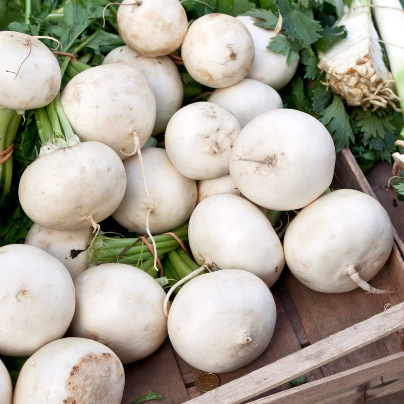 White Detroit Beet Seeds - Heirloom