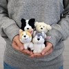Niki Keychain, Corgi, 3.9 inches (10 cm), Kids, W2.8 x