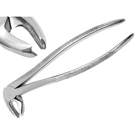 ARTMAN INSTRUMENTS Dental Extraction Forceps (Upper Bayonet for Roots #51) Stainless Steel Tooth Removal Forceps for Oral Surgery (Upper Bayonet for Roots #51)