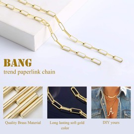 ALEXCRAFT 12 Feet 14K Dainty Gold Plated Brass Paperclip Chain Link Necklace Bulk for Jewelry Making