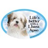 Prismatix Lhasa Apso Oval Dog Magnet for Cars
