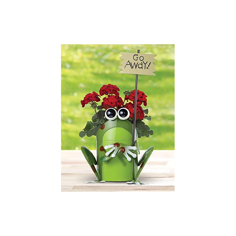 Sunset Vista Designs Get Happy Frog Planter