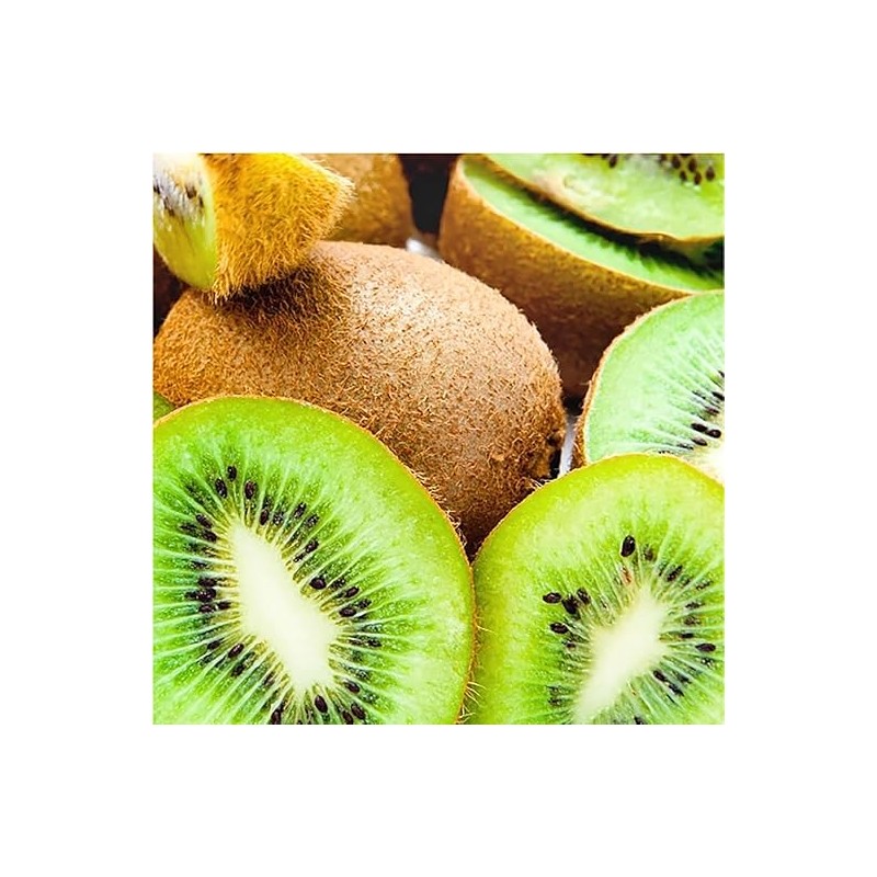 Biolù - Solid Shampoo Kiwi Organic 55 g - BIOLU