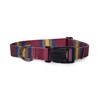 PENDLETON Zion National Park Adventure Collar XL