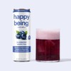 Happy Being Sparkling Nutrient-Rich Sampler Pack White Tea – Infused