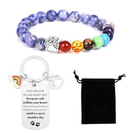 Vjajaly Rainbow Bridge Pet Memorial Gifts Bracelet for Beloved Dog Cat 8MM Mixed Color Bead 7 Chakra Pet Memorial Bracelet for Women Men Who Loss of Pets Pet Sympathy Gift (Blue)
