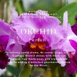 Caswell-Massey Orchid Perfume Spray, Classic Floral Scent for Women with Pear, Vanilla & Bergamot, Made in USA, 0.25 Oz