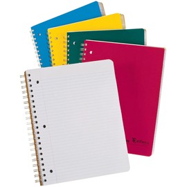 Earthwise by Oxford Recycled 5-Subject Notebook, 8-1/2" x 11", College Rule, 3-Hole Punched, 240 Sheets (25-159R)
