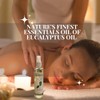 Nature's Finest Essentials Oil of Eucalyptus Oil 4 oz