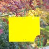 50Pcs Double Sided Insect Yellow Catching Board Sticky Flying Insect