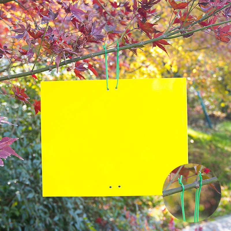 50Pcs Double Sided Insect Yellow Catching Board Sticky Flying Insect