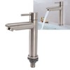Kitchen Faucet Single Hole Stainless Steel Single Cold Sink Faucet