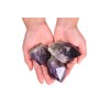 AMOYSTONE 1.5 LB Bulk Amethyst Points Healing Crystal Ore Specimen
