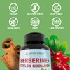 Berberine Supplement with Ceylon Cinnamon & Chromium Picolinate, 10-in-1 Berberine