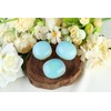 QINJIEJIE Pack of 2 Opal Stones Tumbled Stones Natural Gemstone