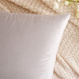 EMEMA Velvet Cushion Cover, Decorative, for Sofa, Bedroom, Lumbar Cushions, Scatters, with Hidden Zip, Set of 2, 45 x 45 cm, Heart Wood (Pink)