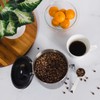 CafetastiQ Coffee Canister – Airtight Stainless Steel Storage Container with