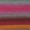Lion Brand Yarn - Landscapes - 6 Pack with Needle