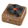Vinyl Record Bluetooth Speaker Innovative Mini FM Radio HiFi Stereo