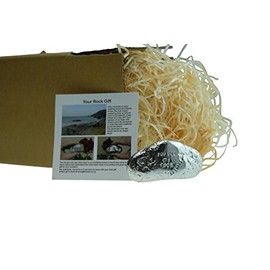 20th Anniversary You are My Rock Gift Idea - Solid Metal Heavy Polished Rock Gift for 20 Year Anniversary Silver