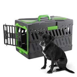 Pet Genius Collapsible Pet Crate, Ultra-Lightweight Portable Kennel with Dual Hinge Door, Folds to 6 Inches, Weighs 6.5lbs, Multiple Vents and Windows for Home and On The Go, 22x13x14.5, Green