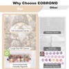 EOBROMD Paint by Numbers Adult Kit for Beginner Gnome, DIY