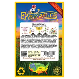 Everwilde Farms - 500 Blanket Flower Native Wildflower Seeds - Gold Vault Jumbo Seed Packet