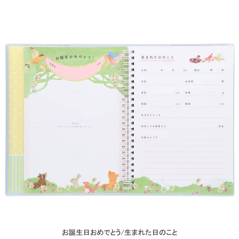 Marks Pony A5/Baby Diary/Blue CDR-BDR01-BL Childcare Diary, Childcare Diary, Growth