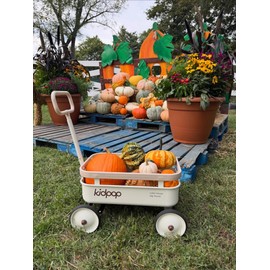 kidpop PULA-Wild 3-in-1 Kids' Pull-Along Wagon Toddlers Push Walker for 2.5-8, Removable Wooden Cover and Adjustable Handlebar, Birthday Gifts Max Weight 33 lbs (White)