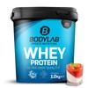 Bodylab24 Bodylab24 Whey Protein Pulver, Pannacotta, 1kg