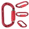 Outdoor Rock Climbing Symmetric Main Lock O Type Automatic Lock