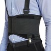 Neotech Care Lumbar Brace with Removable Pants Clips & Detachable