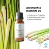 ASK Wholesale Lemongrass Pure Essential Oils - 30ml (1 fl