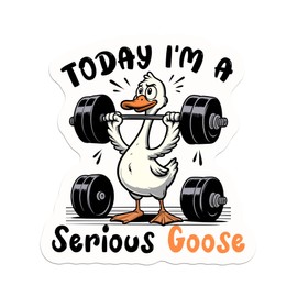 Today Im a Serious Goose Sticker Funny Goose Gym Workout Humor Decal Waterproof Vinyl Decal for Water Bottles Tumbler Laptop Hard Hat Car Kindle Gifts for Girl Boy