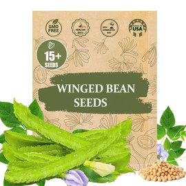 Rare Winged Bean Seeds - 15 Seeds, Non-GMO, Heirloom Vegetable Dragon Four-Angled Bean Seed for Planting – High-Yield, Nutritious, Tropical Climbing