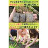 Leap Raupe Seedling Pot, Seedling Pot, Non-woven Pot, Non-woven Planter,