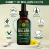 Mullein Leaf Herbal Drops with Marshmallow Root for Lung Health,