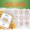 Organic Turmeric Ginger & Black Pepper 2280mg - 240 Vegan