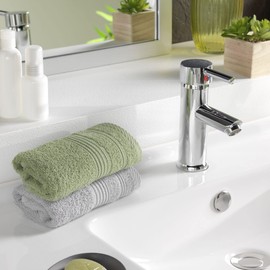 Douceur d'Intérieur, Guest Towel (30 x 50 cm) Tendresse Fougere, Plain Sponge