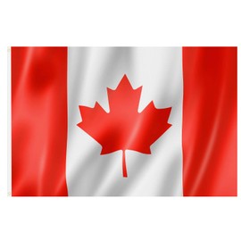 TRIXES Large Canadian Flag 5ft x 3ft Canada Flag - For Canada Day, Football, Sporting Events - With Eyelets for Flagpole. National Flag - Maple Leaf