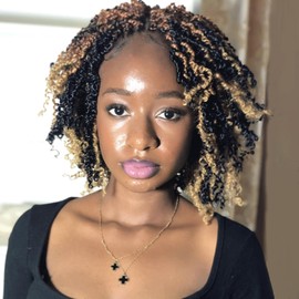 Toyotress Yanky Twist Crochet Hair - 14 Inch Combo Packs Fluffy Spring Mini Twist Passion Twist, Pre-Looped Crochet Braids Braiding Hair (14 Inch, 1B-6P+T27+T30-1P)