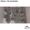 Tabletop Terrain Primal: The Awakening Board Game Insert / Organizer