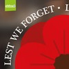 Remembrance Window Sticker for Home and Shops - Poppy Day