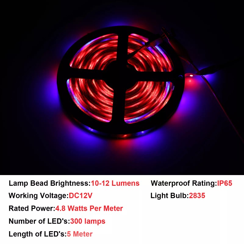 SHENKENUO RGB 2835 LED Boat Lights Kit Waterproof Pod Bright
